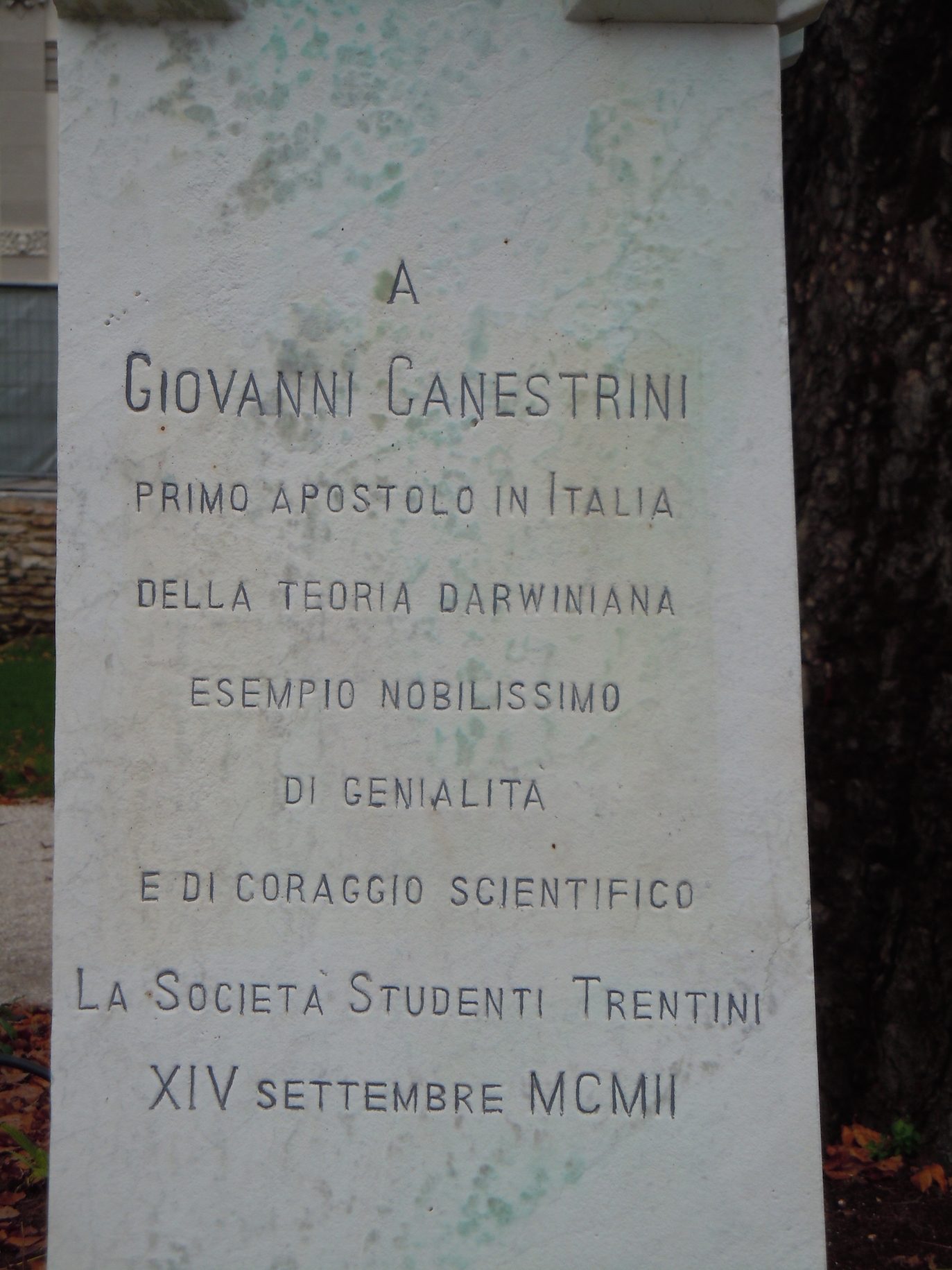 Giovanni%20Canestrini%27s%20bust%204.jpg